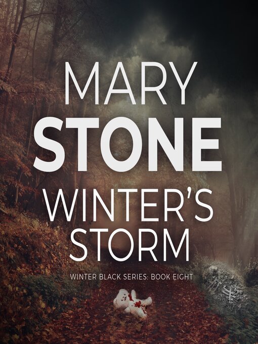 Title details for Winter's Storm by Mary Stone - Wait list